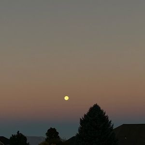 Meet your Posher, Eden